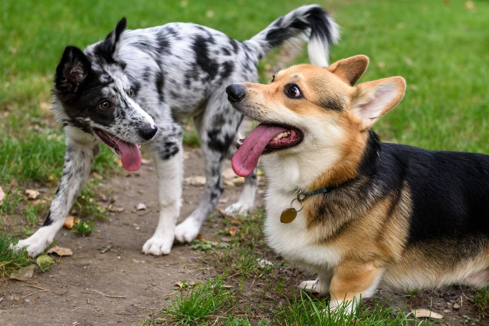 Фотография автора Natalia Starikova