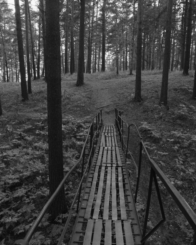 Photograph by Михаил Бирюков