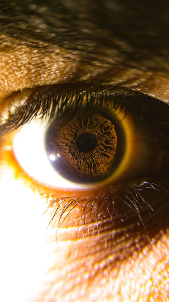 Photograph by Muneeb Qureshi