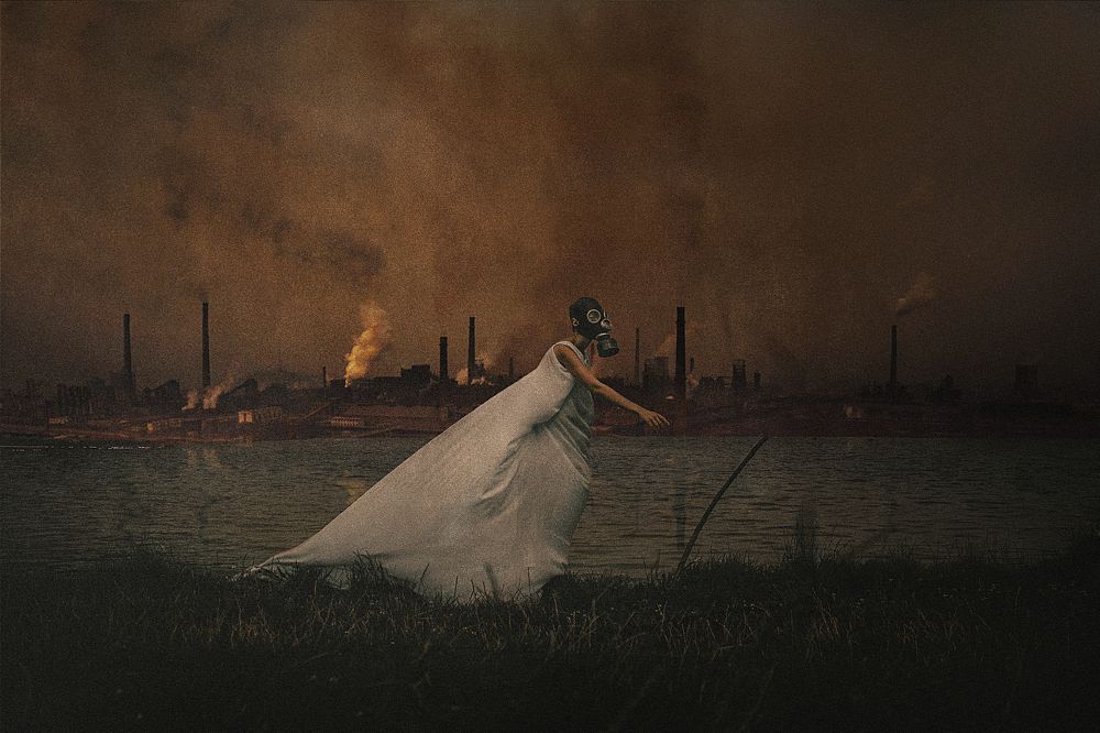 Photograph by Alex Mayhem