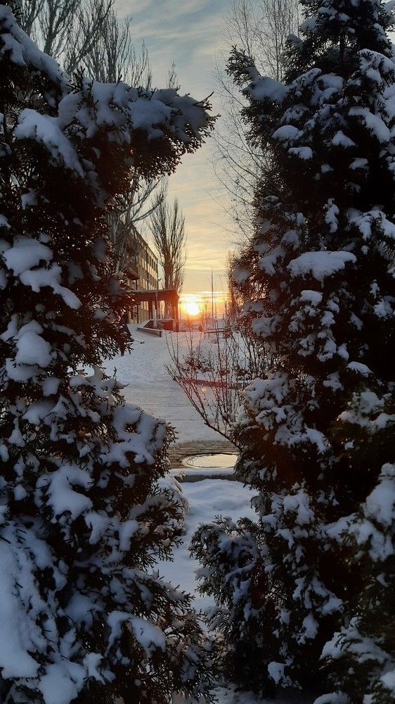 Photograph by Аліса Чарівна