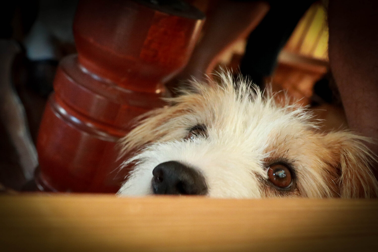 Photo #5771021