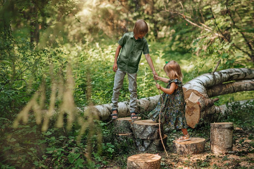 Лесная история