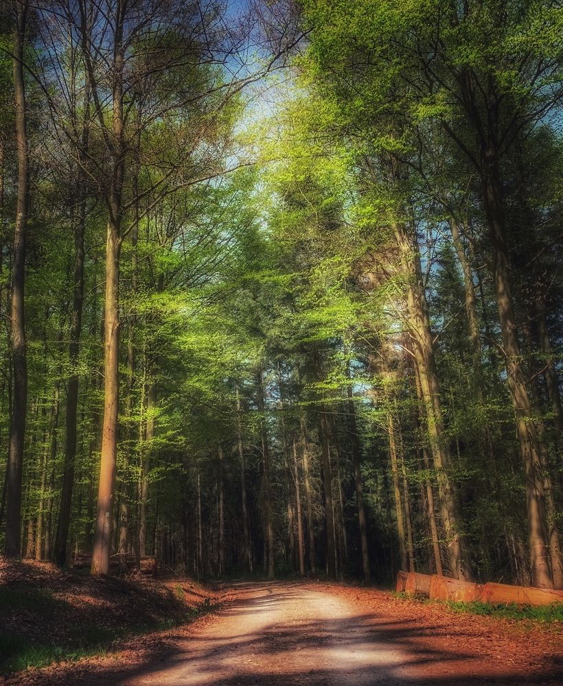 Photograph by Swetlana Lebedev