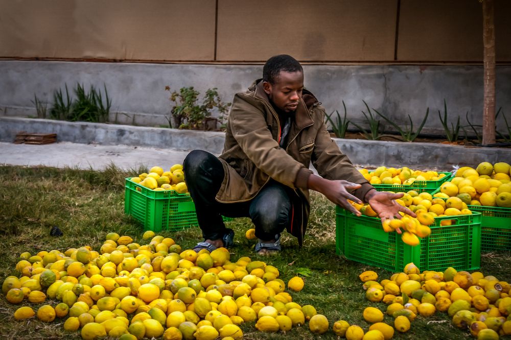 Photograph by Firas Abussaud