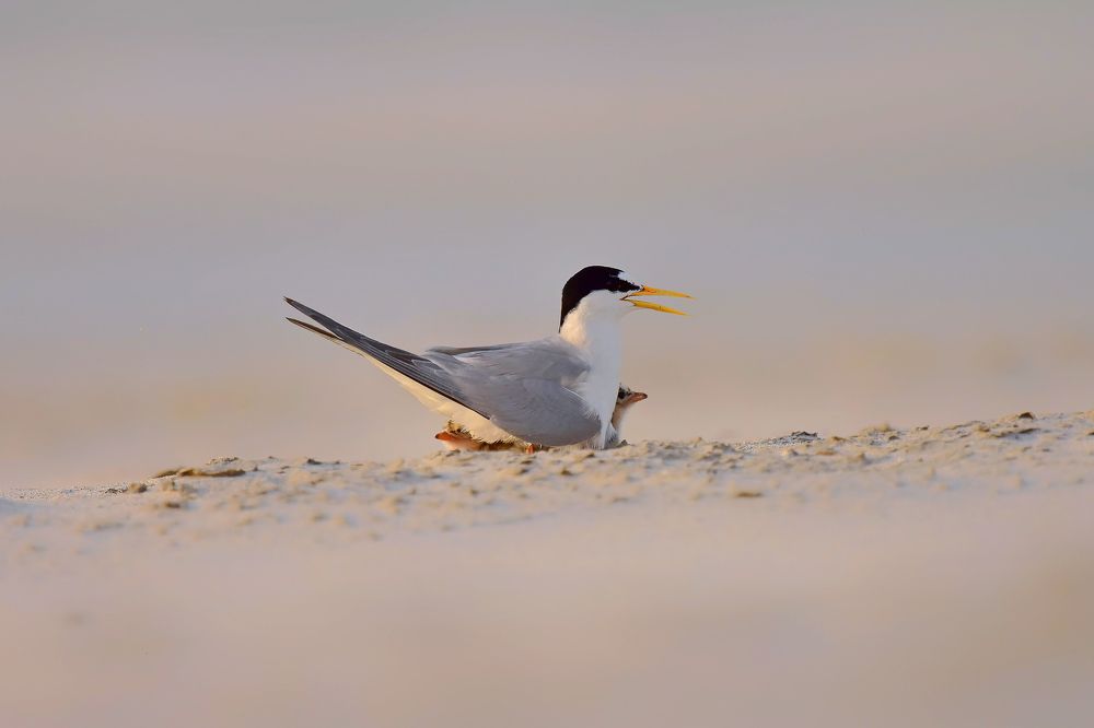 Photograph by Jahid Hasan