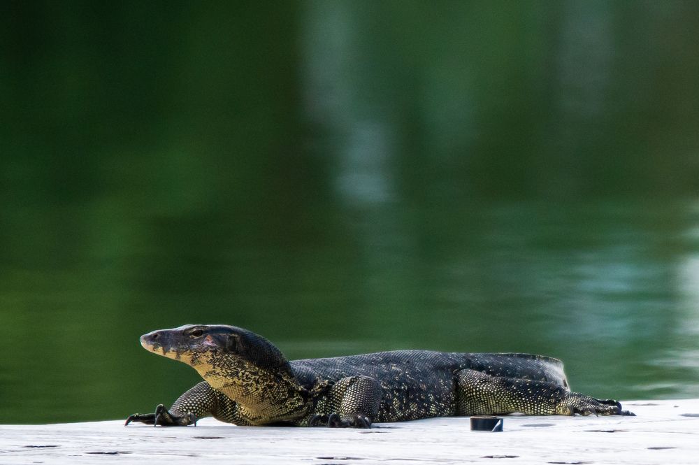 Monitoring on campus