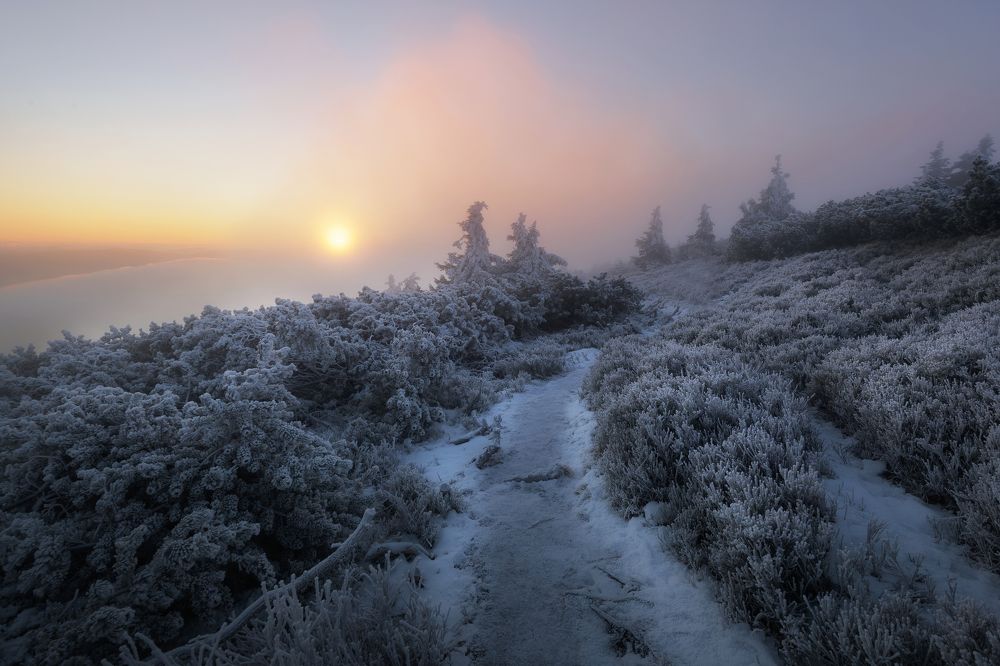 Photograph by Milan Samochin