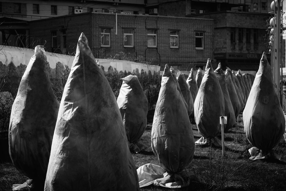 Photograph by Igor Nikitin