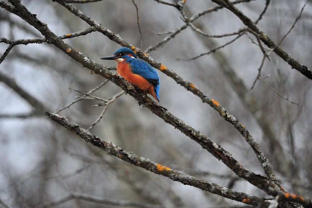 Photograph by Юрий Яковлев