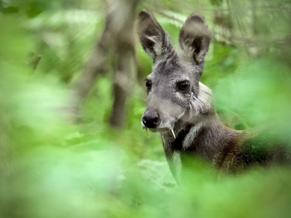 Photograph by Мазурин Евгений