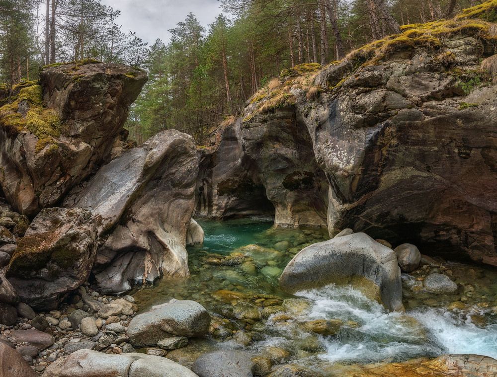 Фотография автора Шевченко Юрий