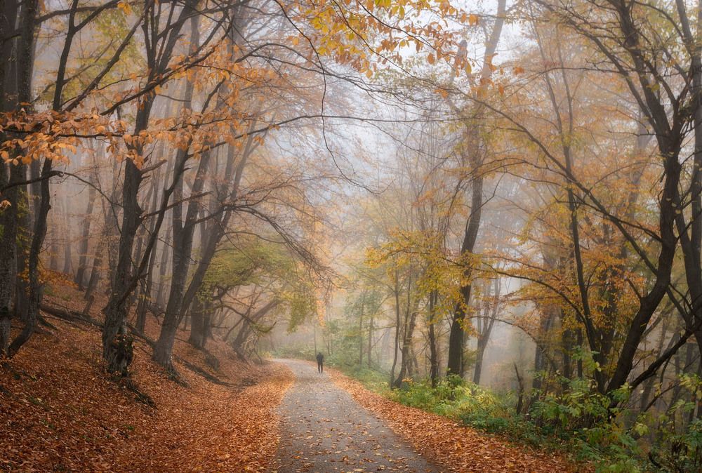 Фотография автора Шевченко Юрий