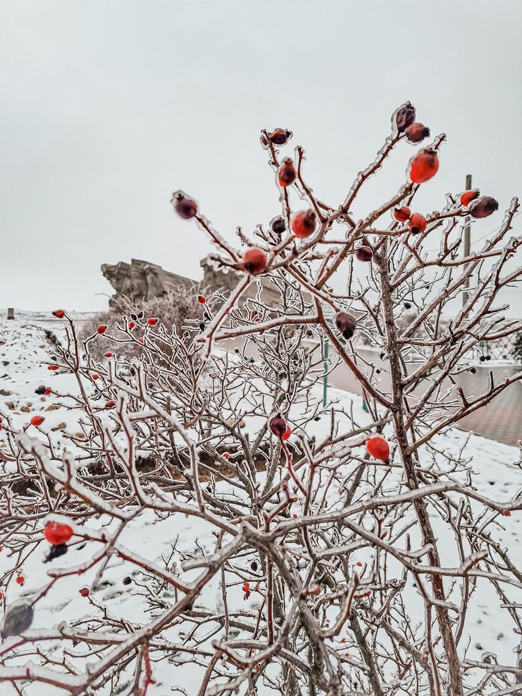 Photograph by Кристина Субоч
