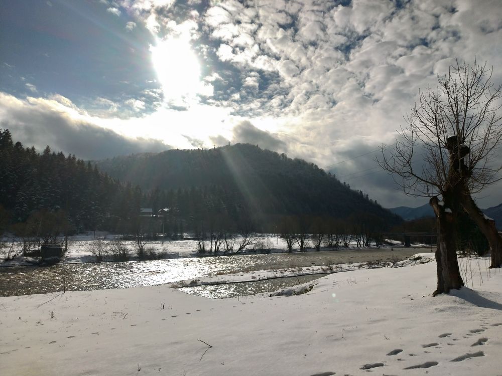 Photo #5771532