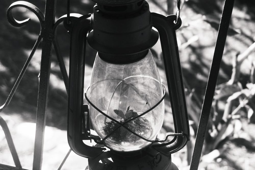 Photograph by Eleni Schetaki