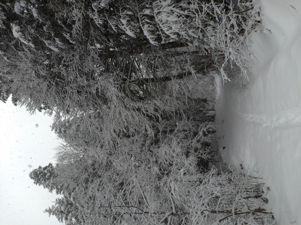 Photo #5771543