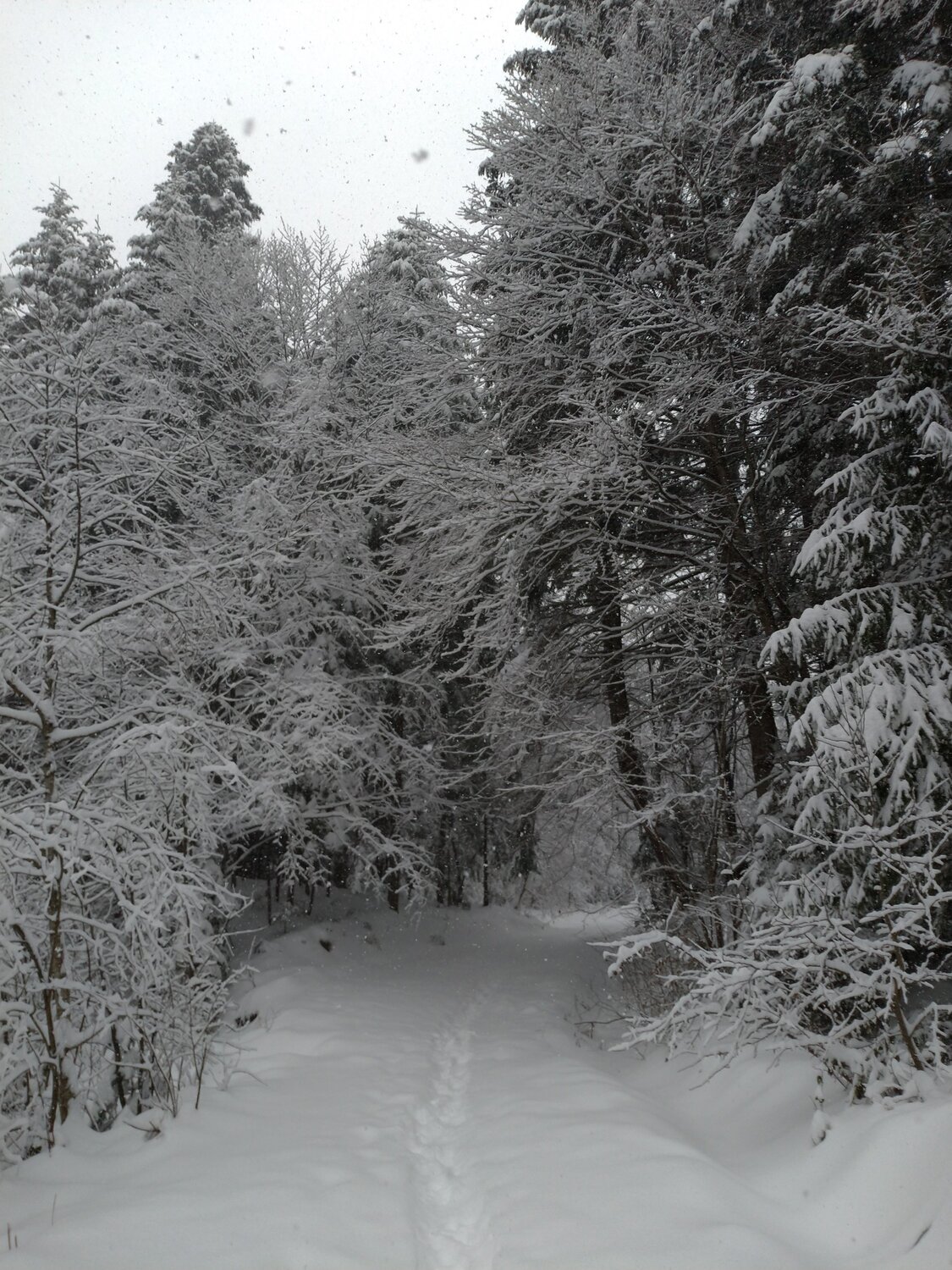 Photo #5771543