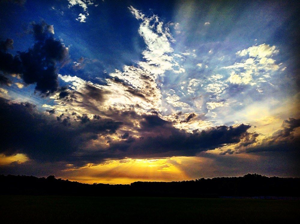 Photograph by Fereshte