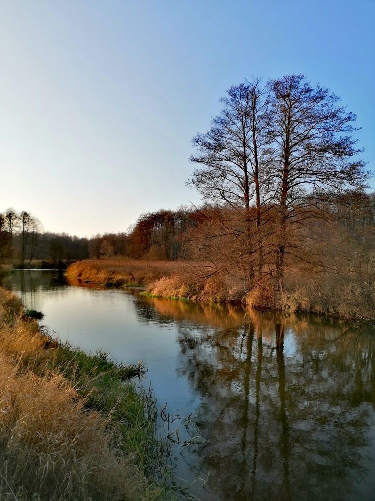 Photograph by Михаил Бородкин