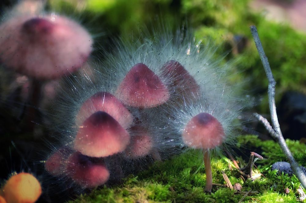 Photograph by Сергей Клапишевский