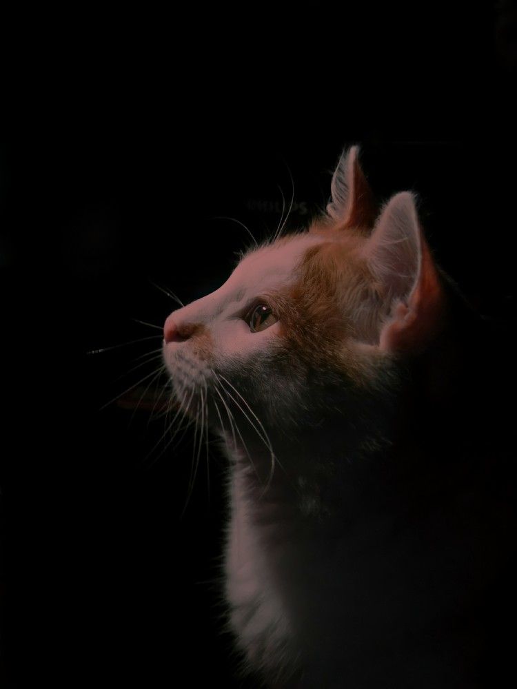 Photograph by Настя Трубкина