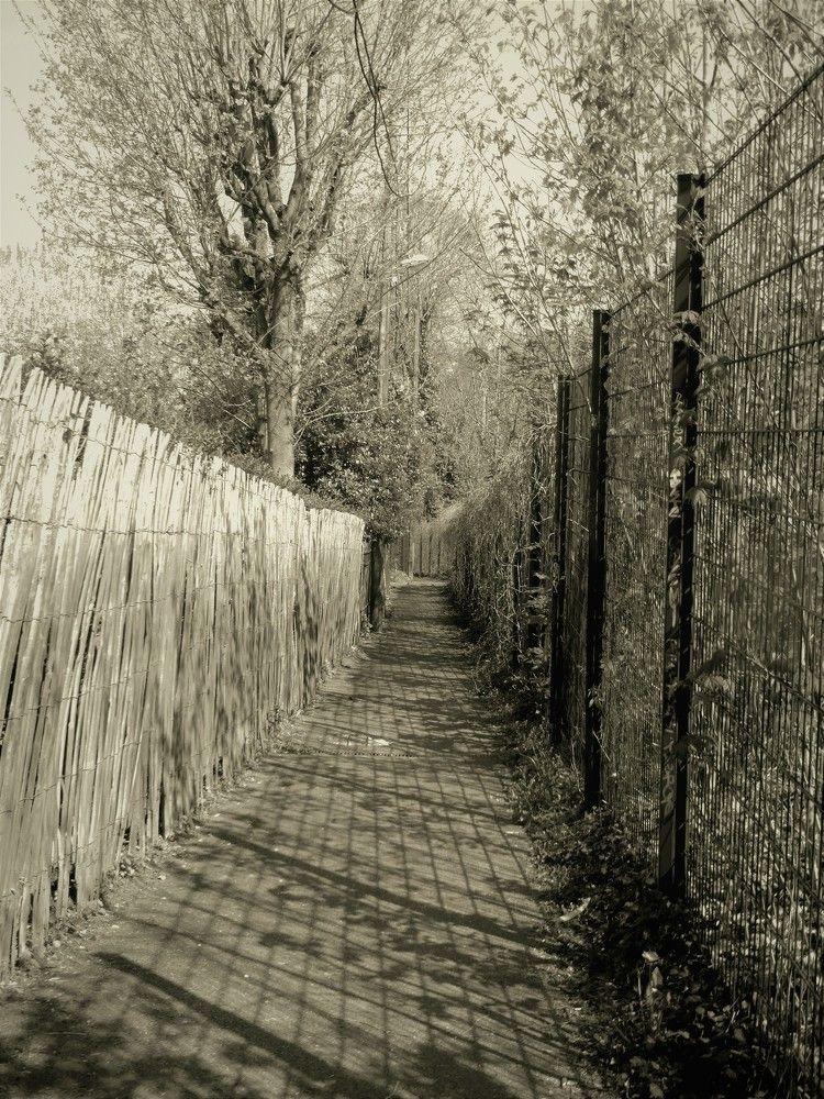 Photograph by Alberto Levin