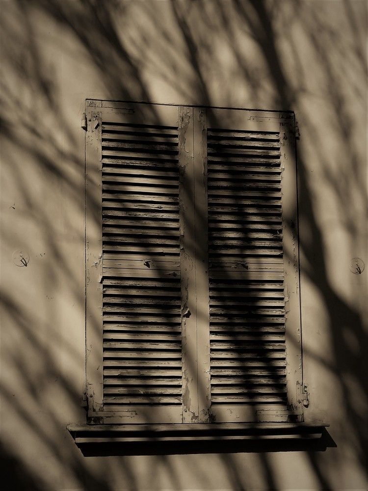 Photograph by Alberto Levin
