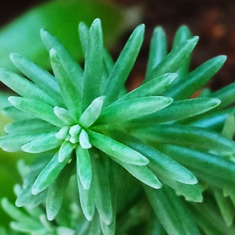 Photograph by leandro enrique ramirez torres