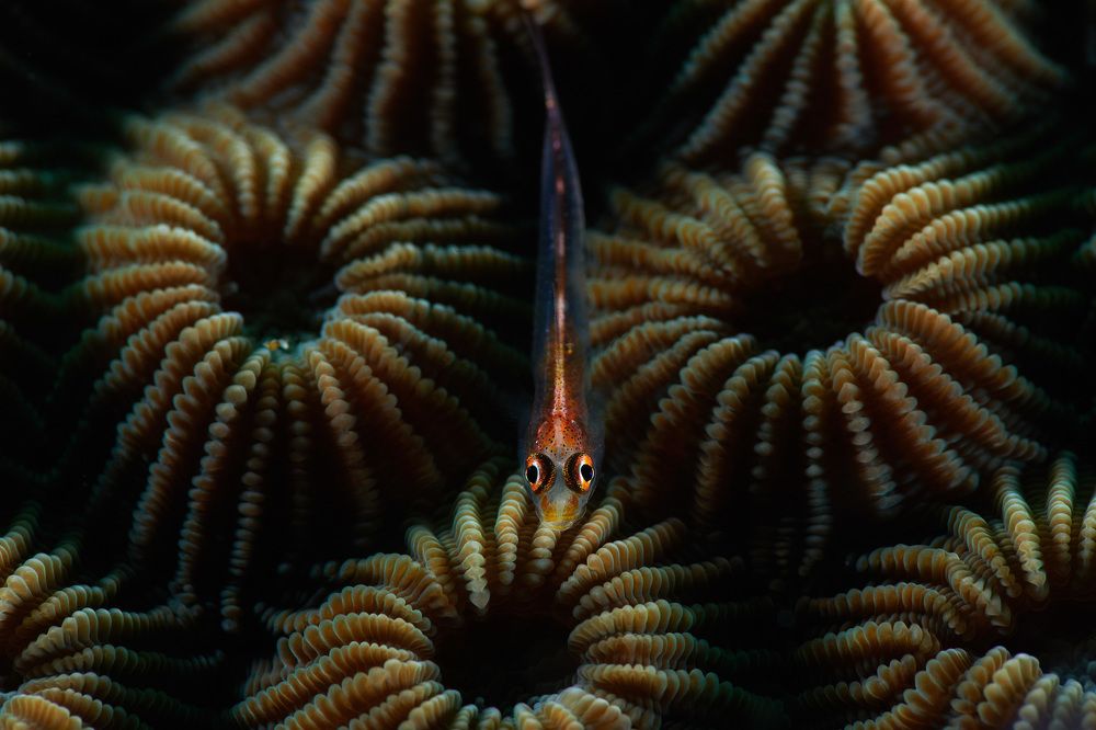 Photograph by stanley budiman