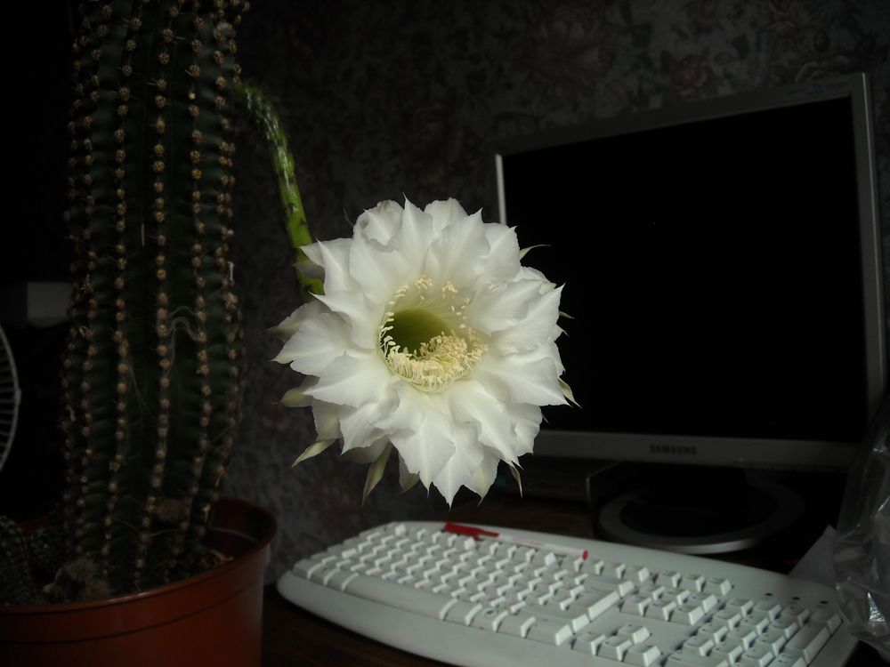 Photo #5771739
