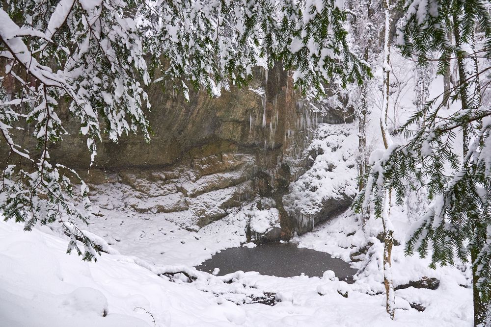 Photograph by Наталья Богач