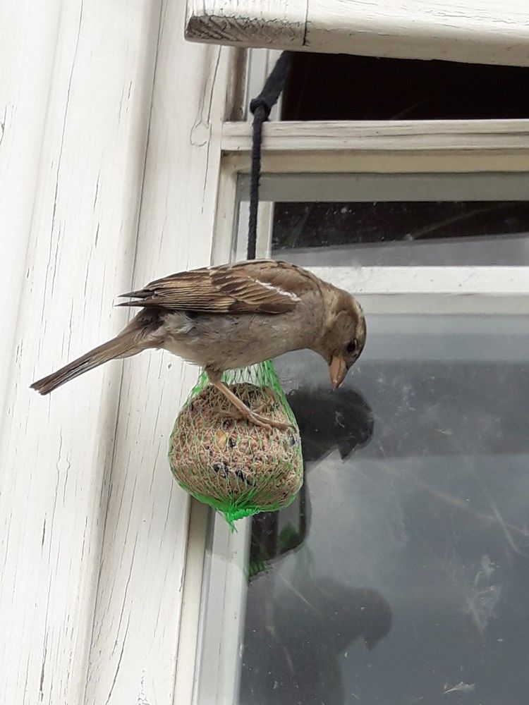 Photograph by Оксана Макарова