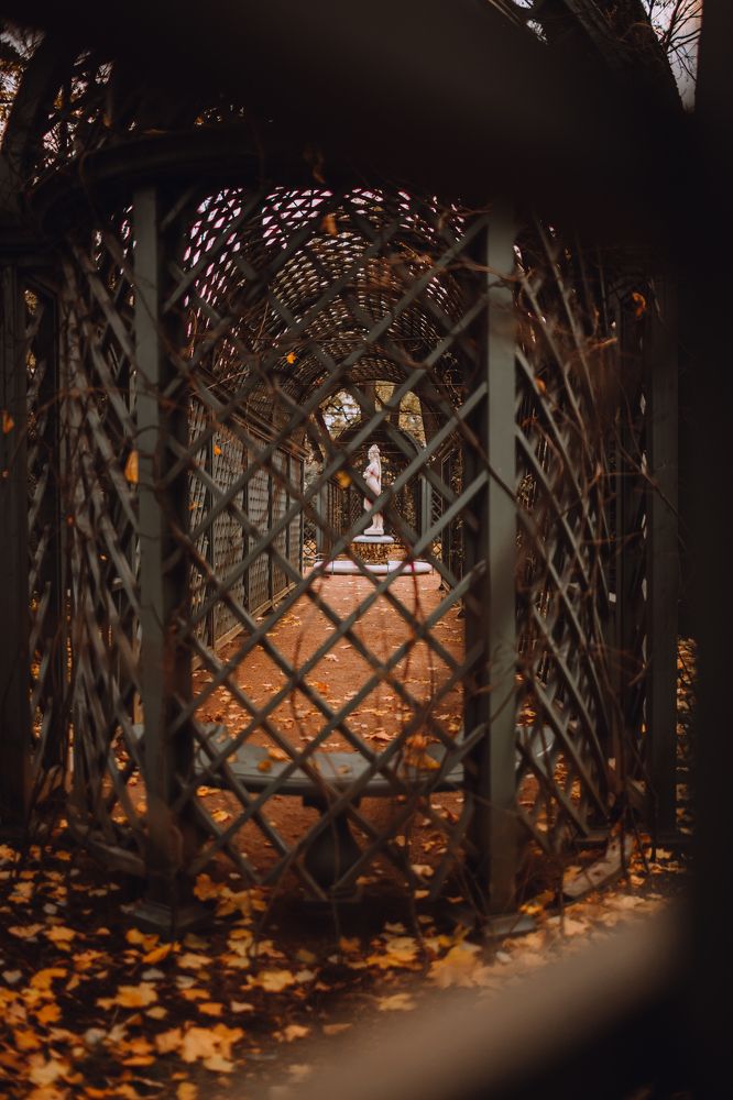 Photograph by Анастасия Курская