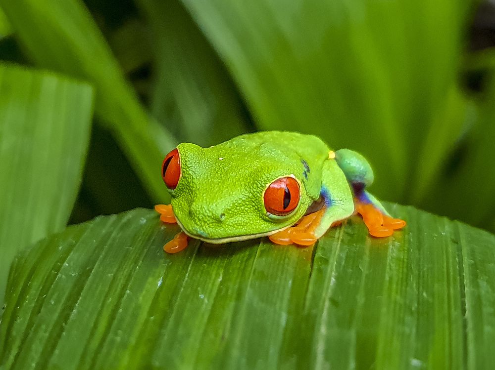 Photograph by Илья Труханов