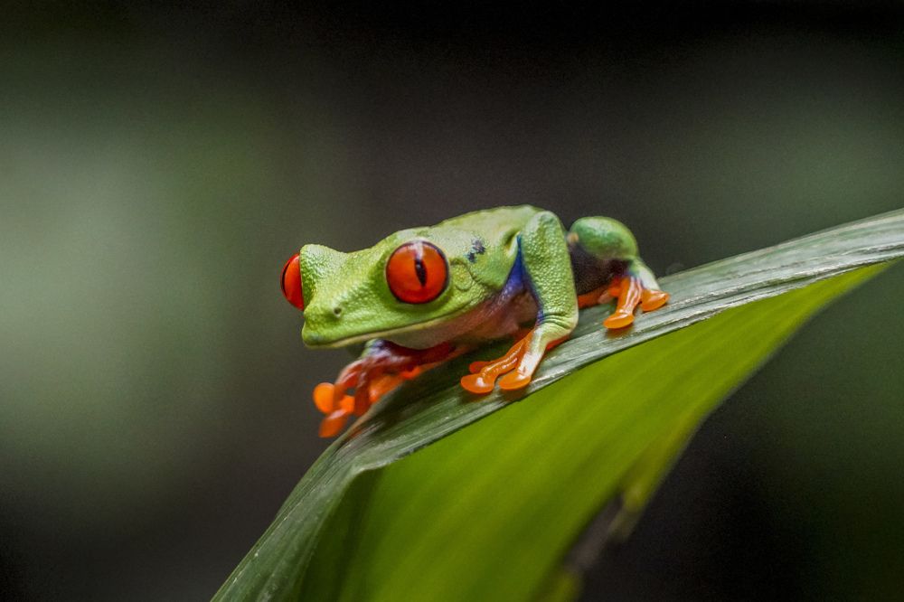 Photograph by Илья Труханов