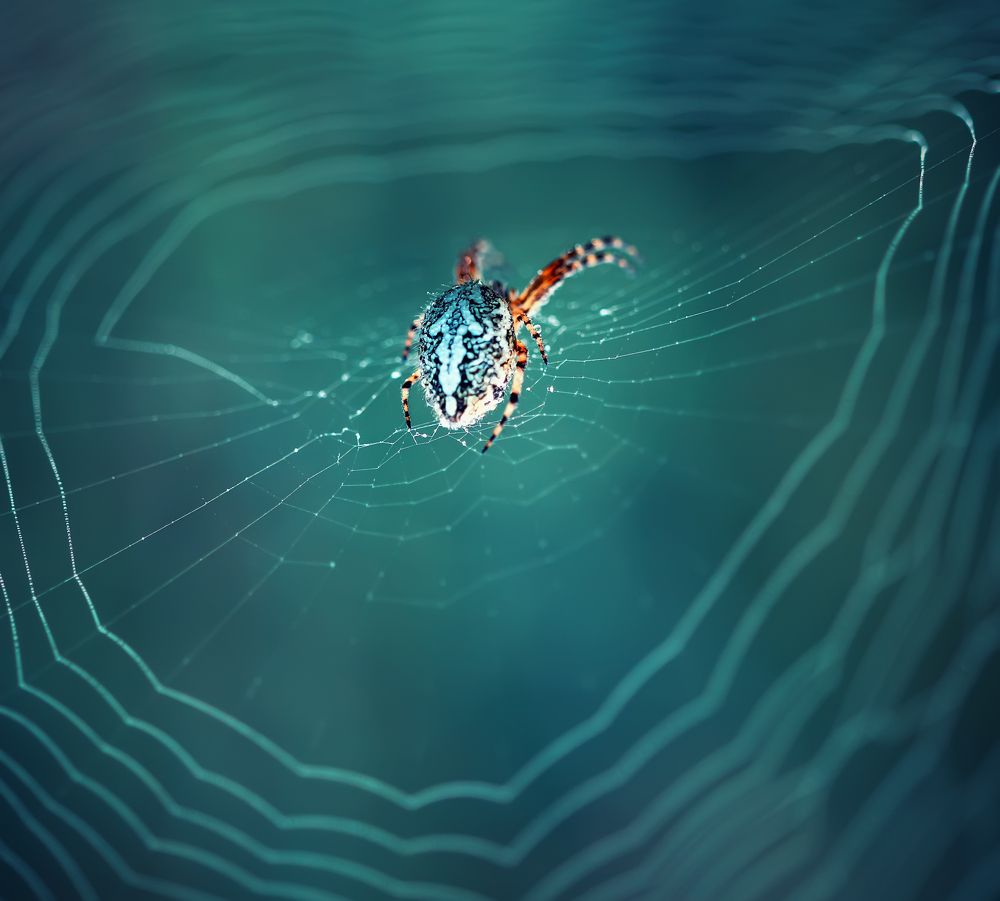 Photograph by Костадин Маджаров