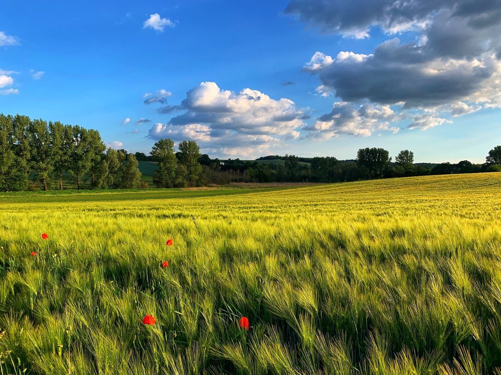 Photograph by Swetlana Lebedev