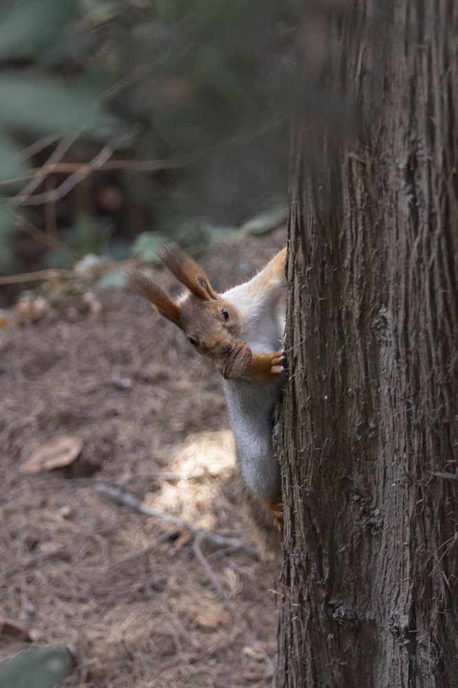 Photograph by Vladimir Soroka