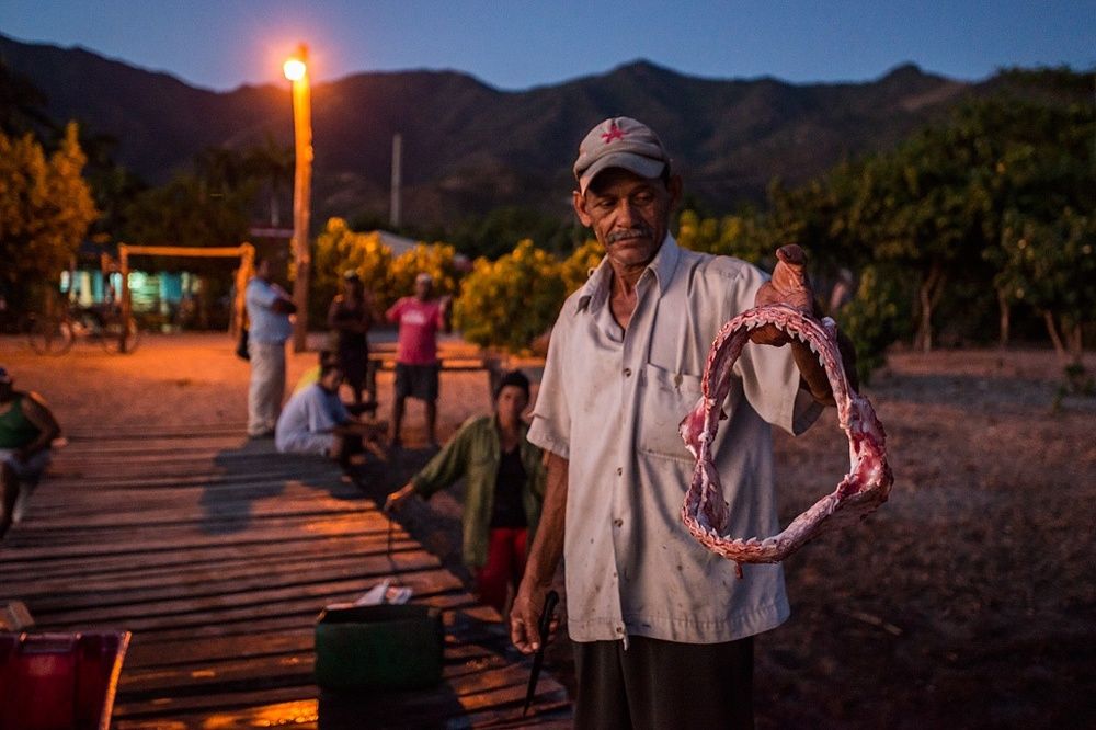 The old man and the sea