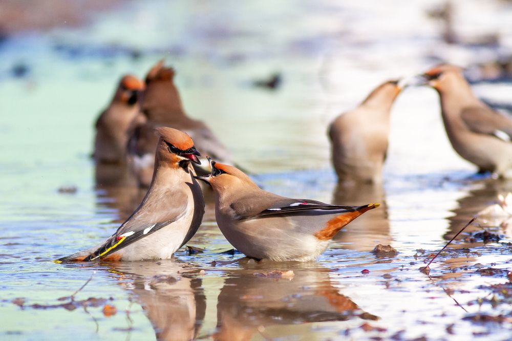 Фотография автора Евгений Гурьевских