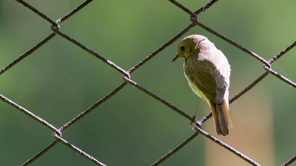 Фотография автора Евгений Гурьевских