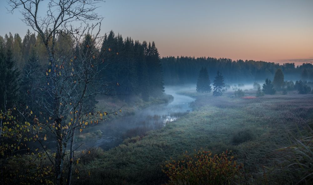 Photograph by Роман Фабричный