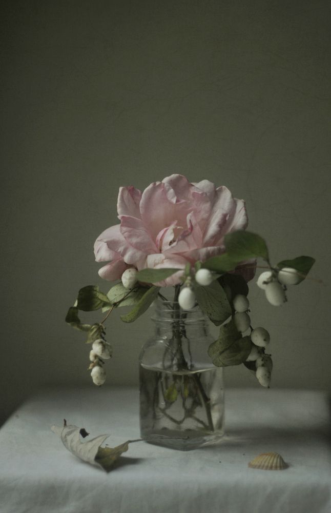 Photograph by Ирина Ямчицкая