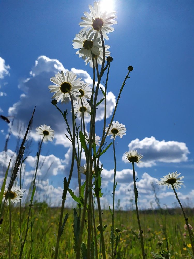 Photograph by Екатерина Мелехина