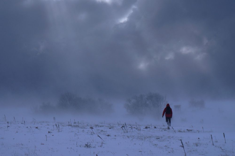 Photograph by Юлия