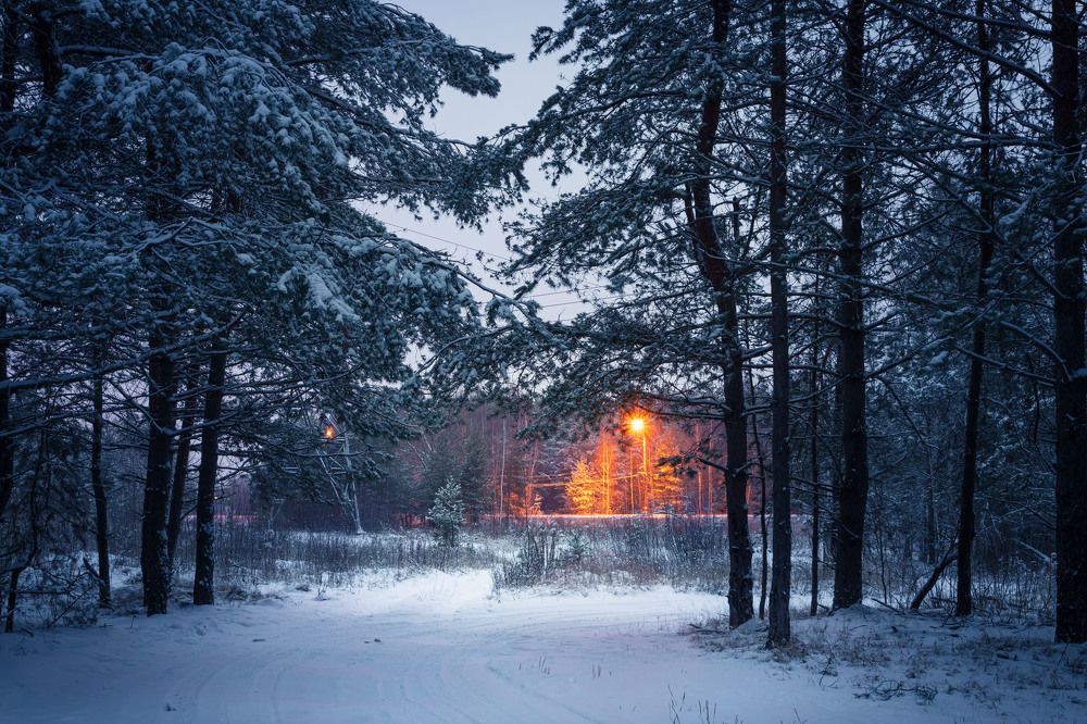 Photograph by Сергей Кочетов