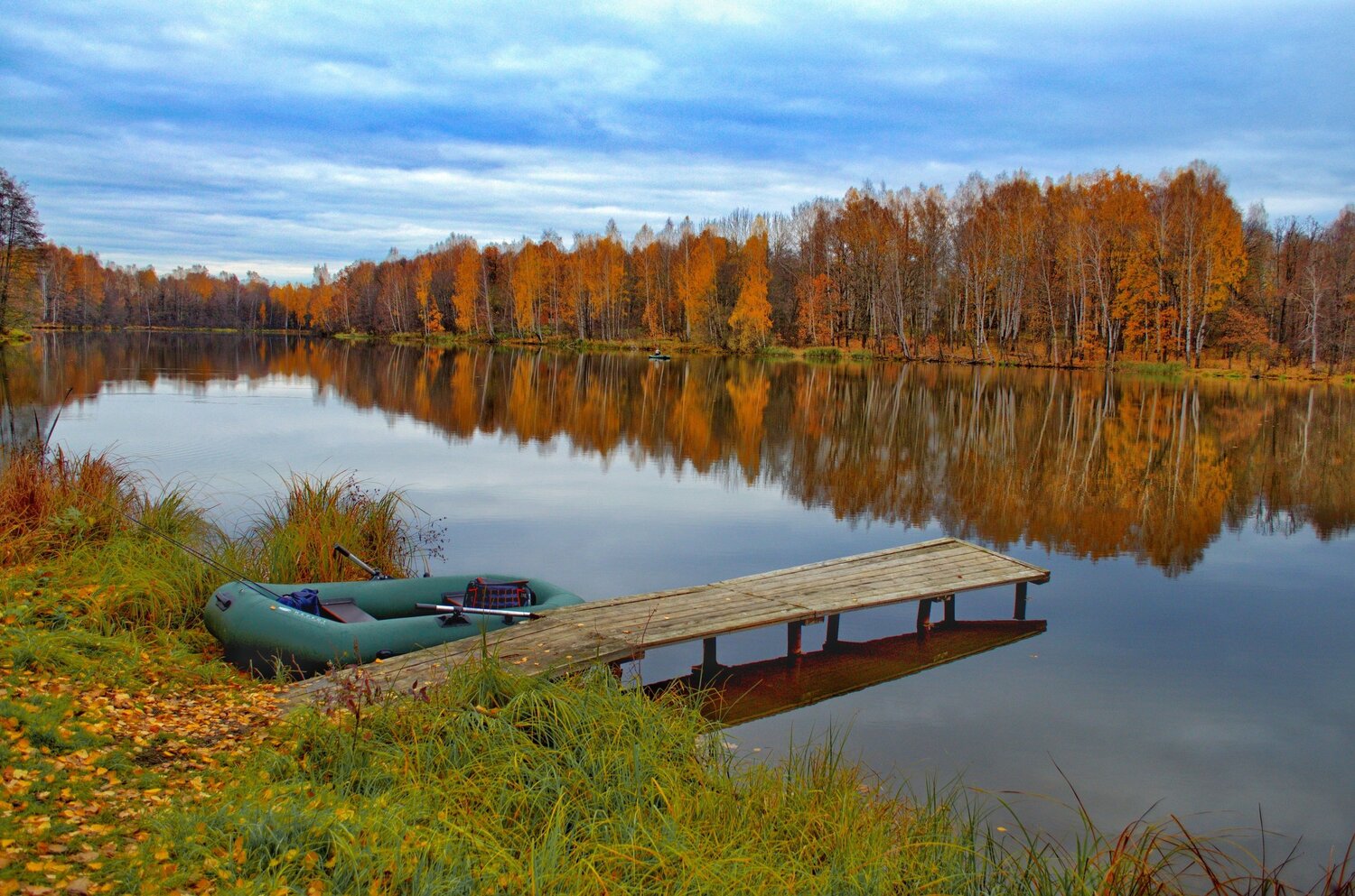 Photo #5772242