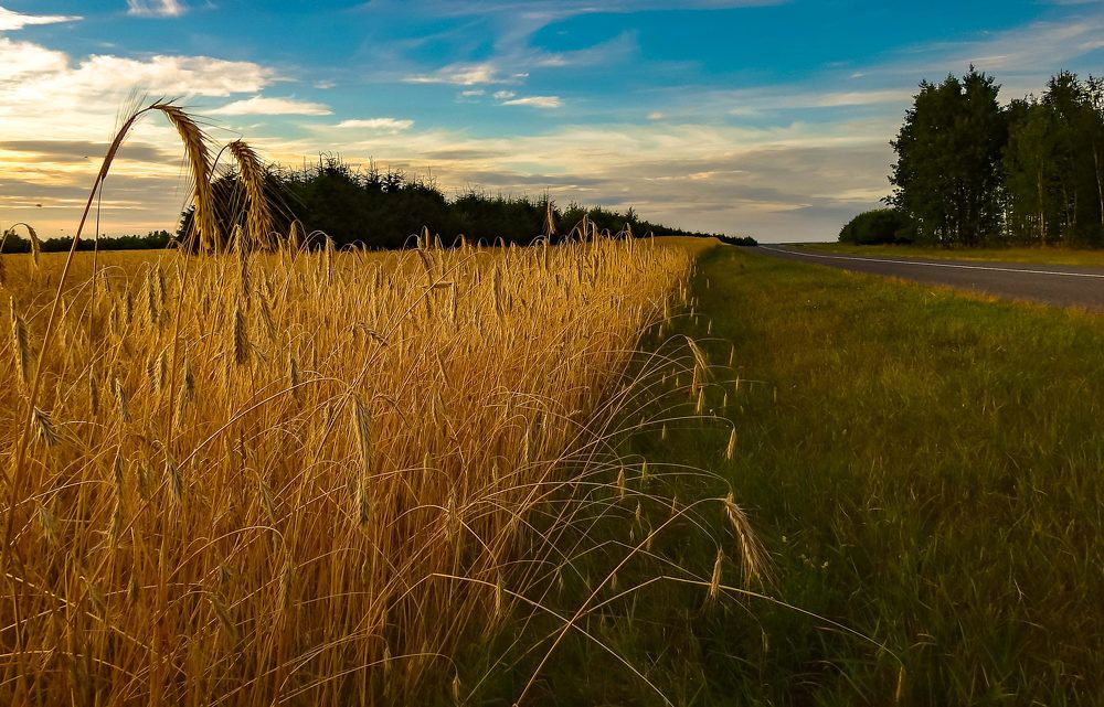 Photograph by Диана Бородзе