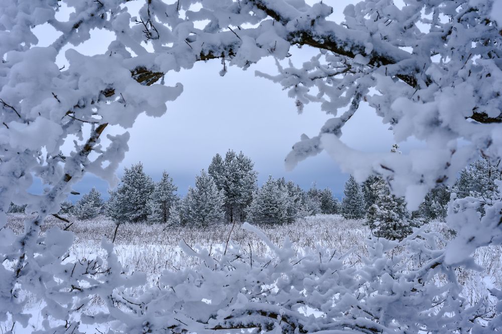 Фотография автора Варвара Сосновская